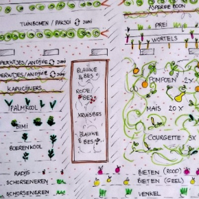 TuincentrumB's tweet photo. De moestuin is gesloten, nu is het tijd voor een teeltplan op te maken voor het volgende seizoen. https://t.co/BINdDxYEpA