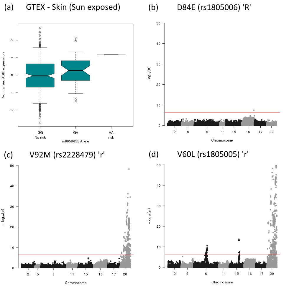 Tenesa Group On Twitter We Studied Blonde And Brown Hair