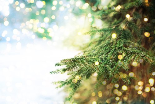 SDFCU's tweet photo. #Holiday money stress got you feeling less than merry? Set an absolute limit to how much you will spend on the holidays this season and be on the lookout for great deals. #MondayMotivation #SavingMoney #Financialfeed #MoneyMatters https://t.co/TOkLwaCHP5