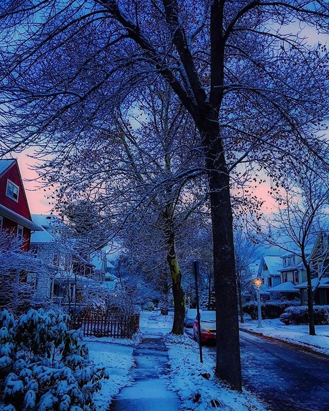 rochester's tweet photo. Blue morning. 💙⛄❄️ #thisisroc 📷: Roc Foliage #roc #rochesterny #iheartroc #visitroc #explorerochester #wny #iloveny https://t.co/1LWj0M2b8k