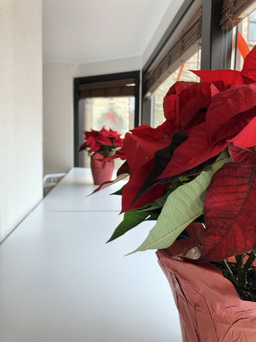25NCoworking's tweet photo. Who says orange and red can’t go together?
#rulebreakers #comeheremypretties #MondayMorning #coworking #thenewwaytowork #coworkinglife #Geneva https://t.co/tZgi6tE7pT