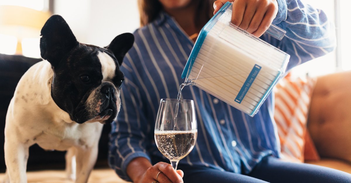 IceColdNow's tweet image. Holiday drinks are the best kind. Enjoy a flash-chilled glass of your favorite, with COLDWAVE