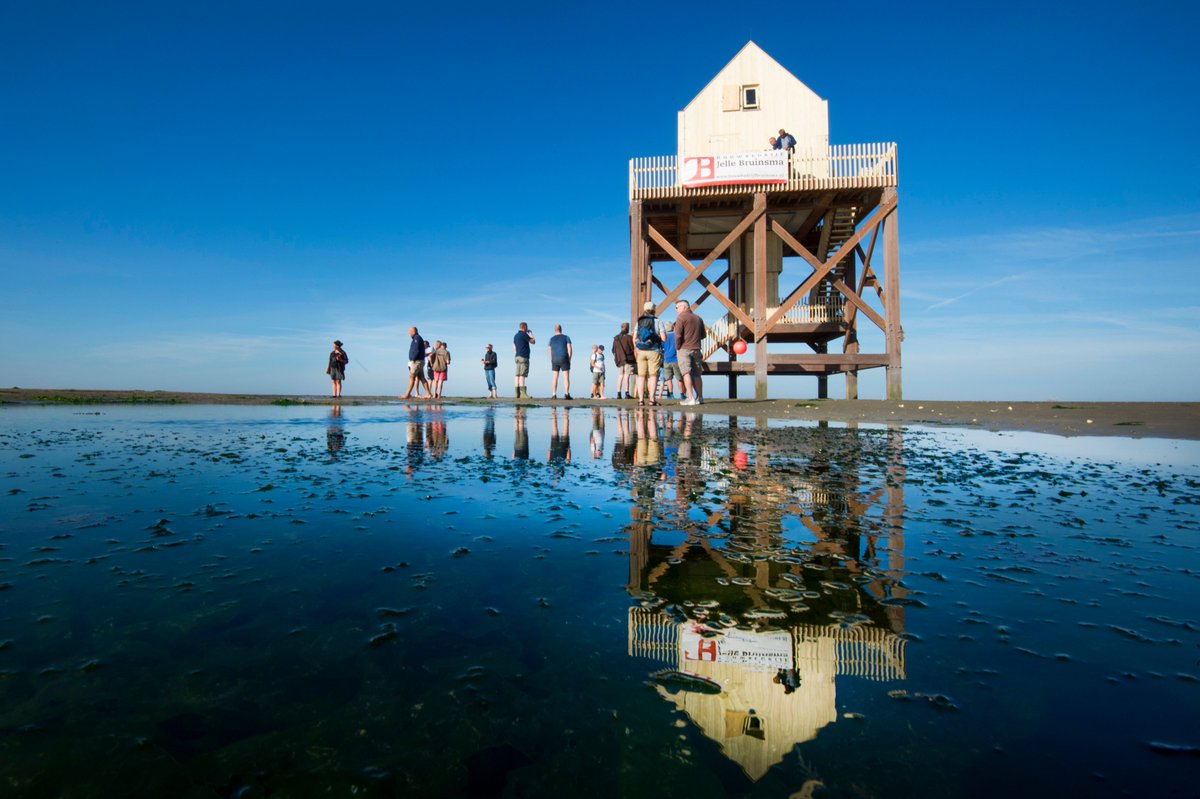 Alles wat je wilt weten over Waddenzee Werelderfgoed vind je op het officiële kanaal: <a href="/WerelderfgoedWZ/">Waddenzee Werelderfgoed</a> Kom je ons daar volgen?