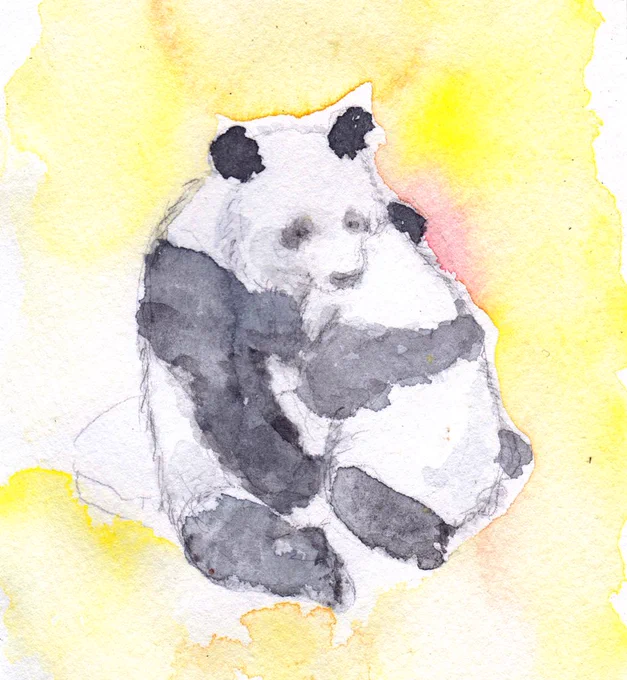 昨日は母娘の最後の日🐼🐼
離れ離れはさみしいね。
甘えながらおっぱいを飲むシャンシャン。。

#シャンシャン
#シンシン 