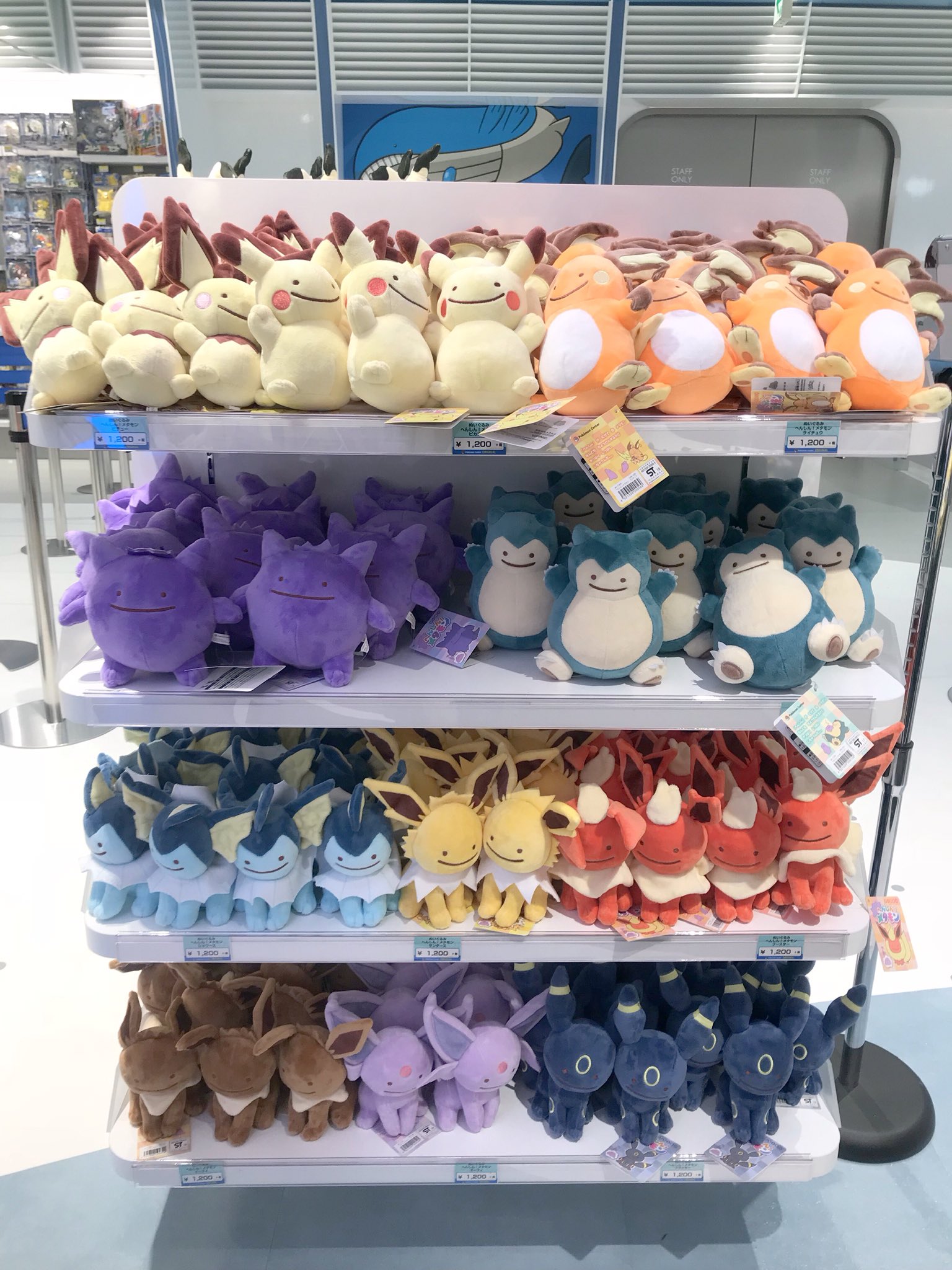 Twitter 上的 ヒノッチ 16年から発売のへんしんメタモンちゃんシリーズいつの間にか再販入荷チュウ ポケモンセンター T Co Imldqc0jpu Twitter