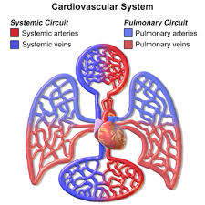CardiovascTher's tweet photo. Cardiovascular Therapy Open Access                       

Submit your Manuscript at :- cardiotherap@healthjournals.org https://t.co/z7Vb0r5tVD
