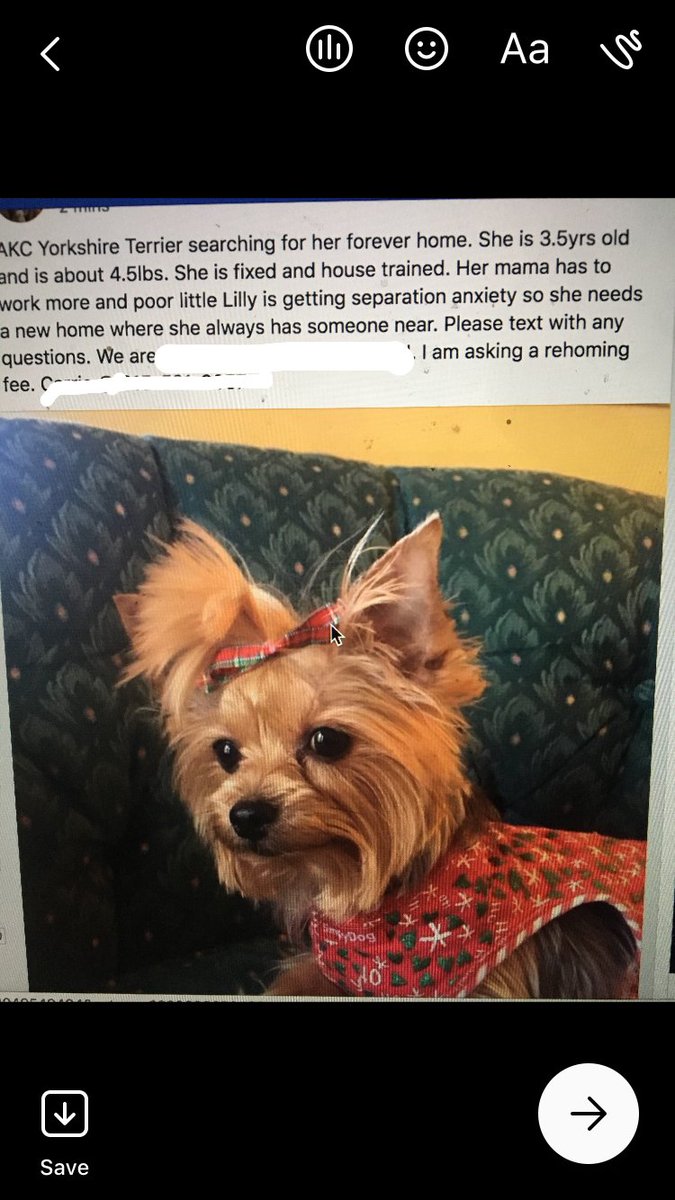 SirRockCosmo's tweet image. @FindTheLostDogs lost Western Ky. female. Adopted that day. Please pm here if found or sighted.