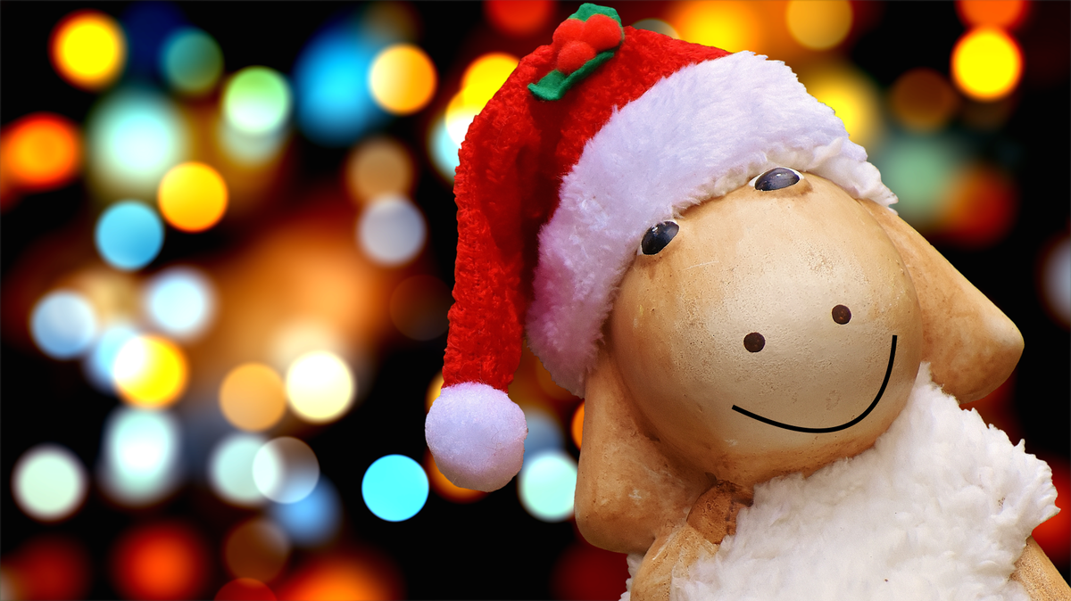 Did you know that happiness automatically increases 10% whilst wearing Christmas hats? 🎅
#Happiness #fact #christmasspirit #santahat