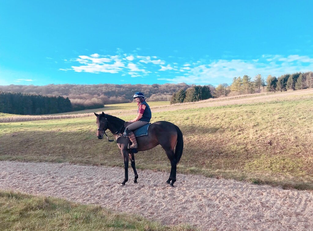 This yearling and <a href="/emma_korner/">Emma Körner</a> making the most of this beautiful winters morning