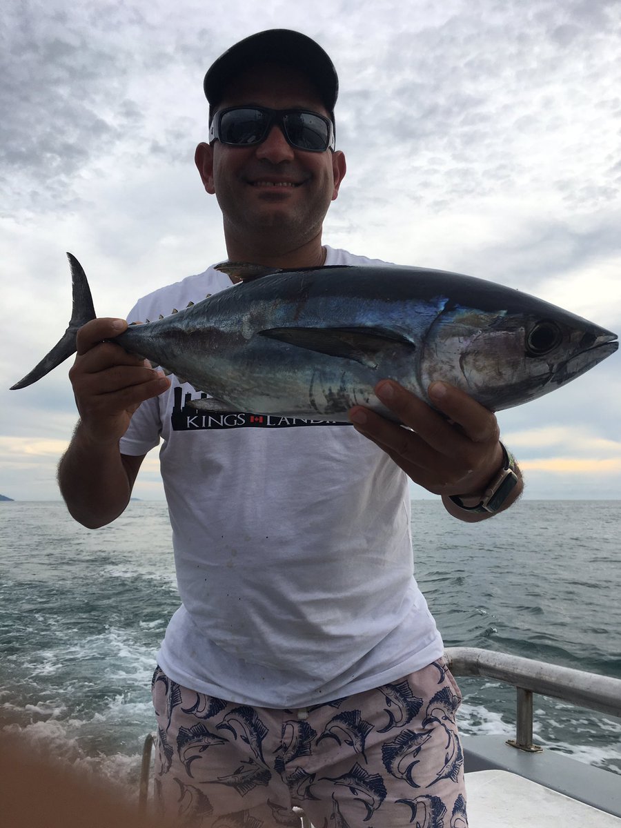 KulakMarc's tweet photo. #Skipjack #Tuna and #Mahimahi experience today in #Thailand https://t.co/EQh91oQ671