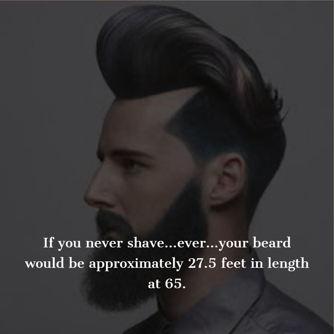 Essentialbeards's tweet image. If you never shave…ever…your beard would be approximately 27.5 feet in length at 65.

#essentialbeards #beardfacts