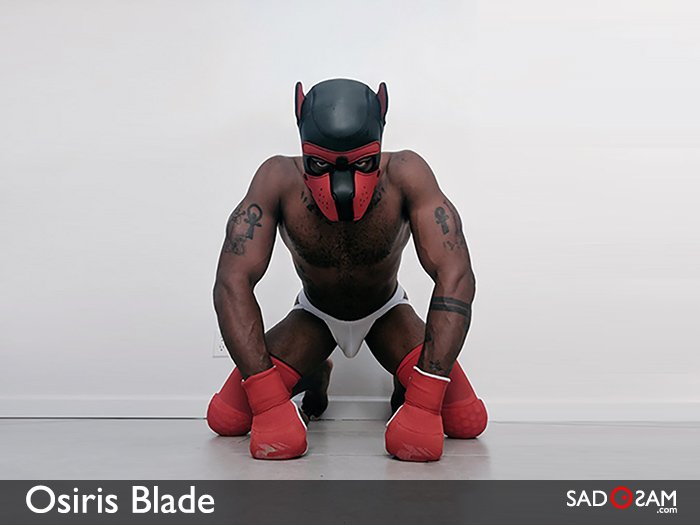 KINKFINITY's tweet photo. OSIRIS BLADE - A HUMAN PUP AS PORN ACTOR | Get an insight into the kinky side of @OsirisBladeXXX and his private desires and needs on sadOsam - your KINKSTER MAGAZINE | Read here >> https://t.co/2ajpoyCPO3 https://t.co/hqJCfv05PL