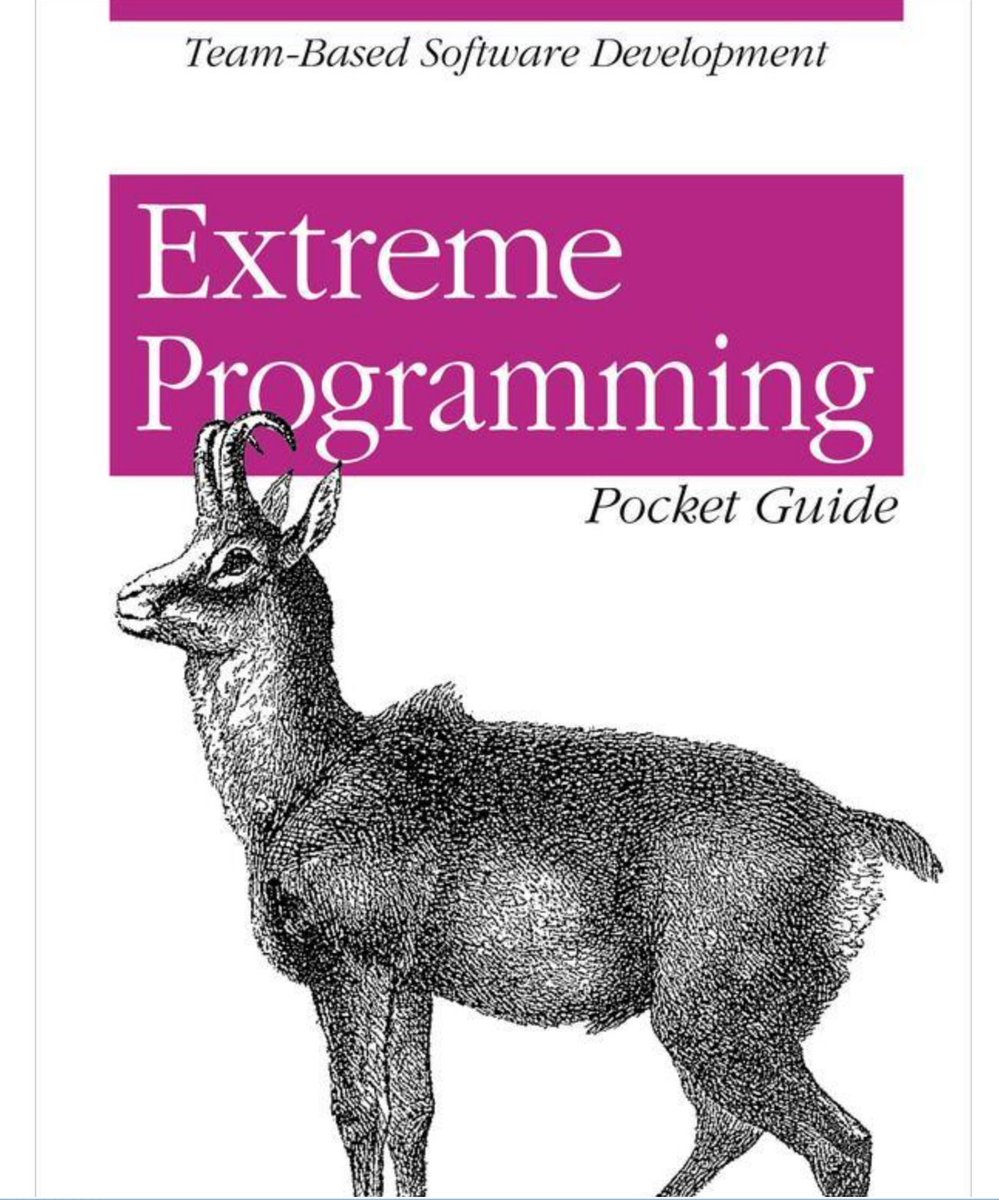 Georgeracu's tweet image. It feels like I found my treat for lunch #Agile #XtremeProgramming