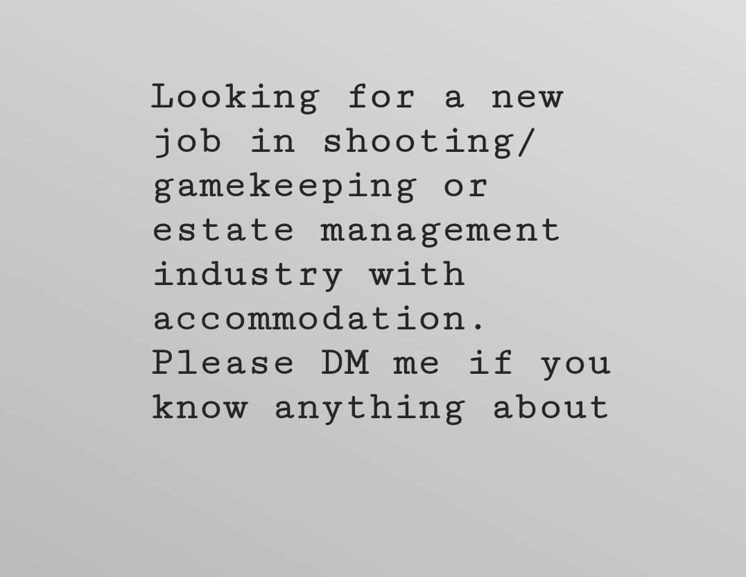 Give me a shout if you hear or know of anything about. Many thanks 🐗