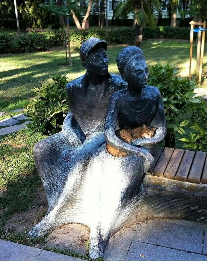 mmpk021's tweet photo. This guy found the best in the park place to rest 😃😀 https://t.co/vPfYyeCcdN