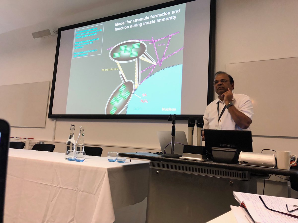 talbotlabTSL's tweet photo. Chloroplast stromule -nuclear communication during plant immunity- Dinesh-Kumar #BSPP2018 https://t.co/AUfIumlxX6