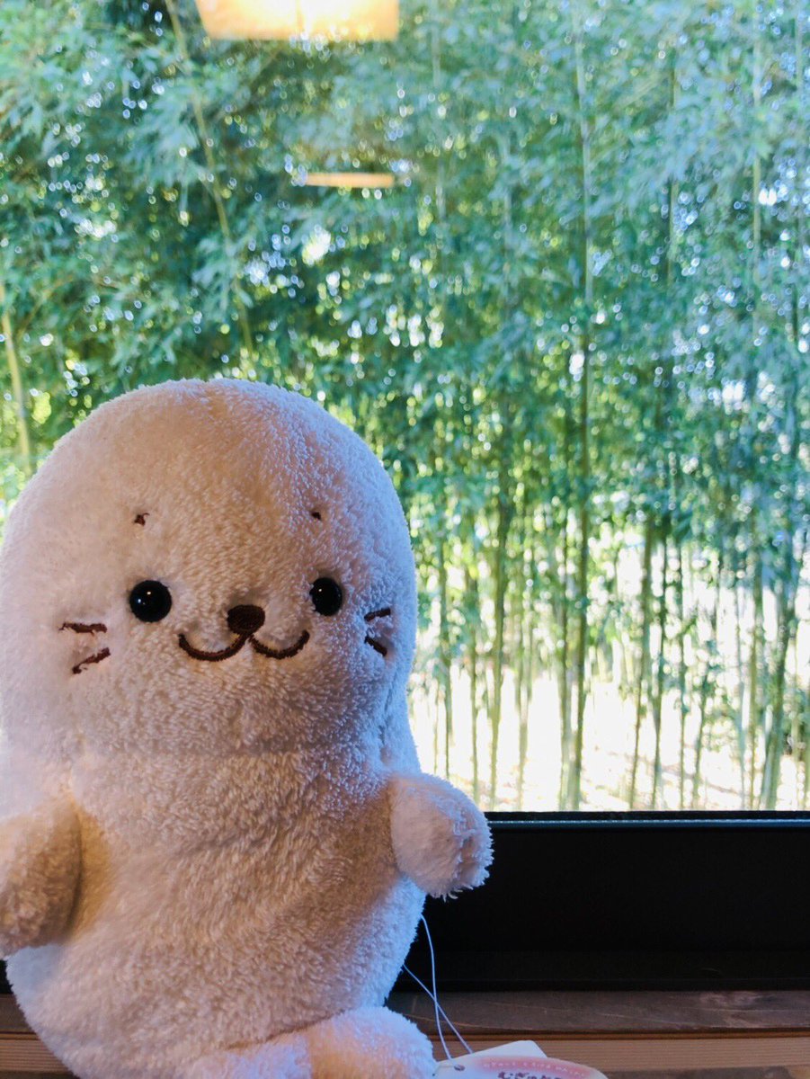 高橋友希 アナウンサー 群馬県沼田市にある170年の古民家でランチを 鉄瓶で沸かすお湯 囲炉裏 竹林 地産地消のお野菜懐石 んーーー いいお店 おばあちゃんが亡くなる前 お父さんがおばあちゃんを連れて来たことがあって わたしもずっと行ってみ