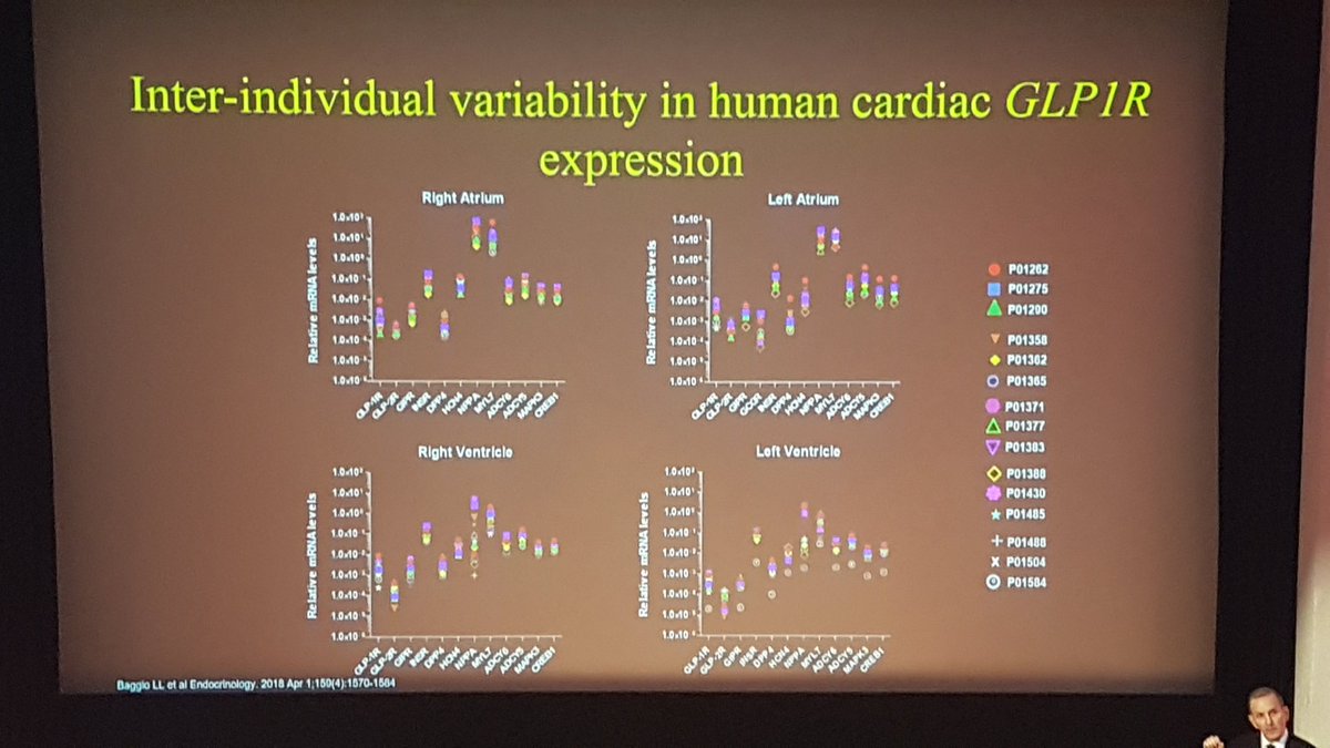 AbdTahrani's tweet photo. From @DanielJDrucker , GLP-1 receptor is expressed in all hear chambers, where exactly still unclear #hhs2018 #obsmuk https://t.co/BSH4YMXpma