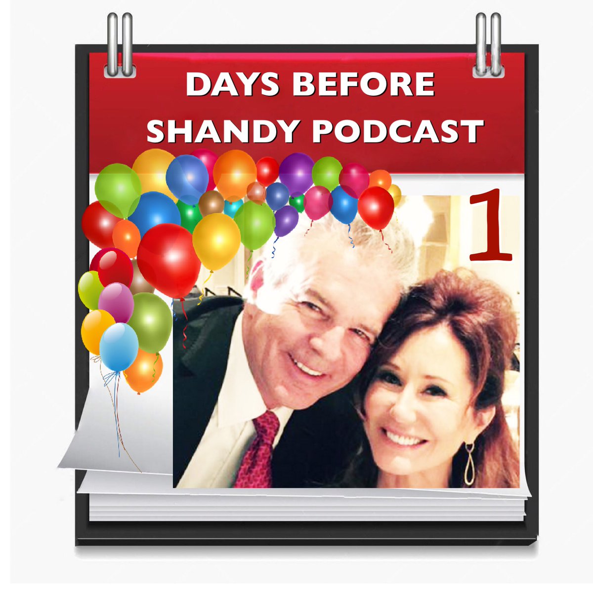 HOUY3's tweet photo. One day friends! Just one day before the #ShandyPodcast πβ€οΈπβ€οΈπβ€οΈπβ€οΈπβ€οΈπβ€οΈ @MaryMcDonnell10 @RealTonyDenison https://t.co/9E3YmdNOn5