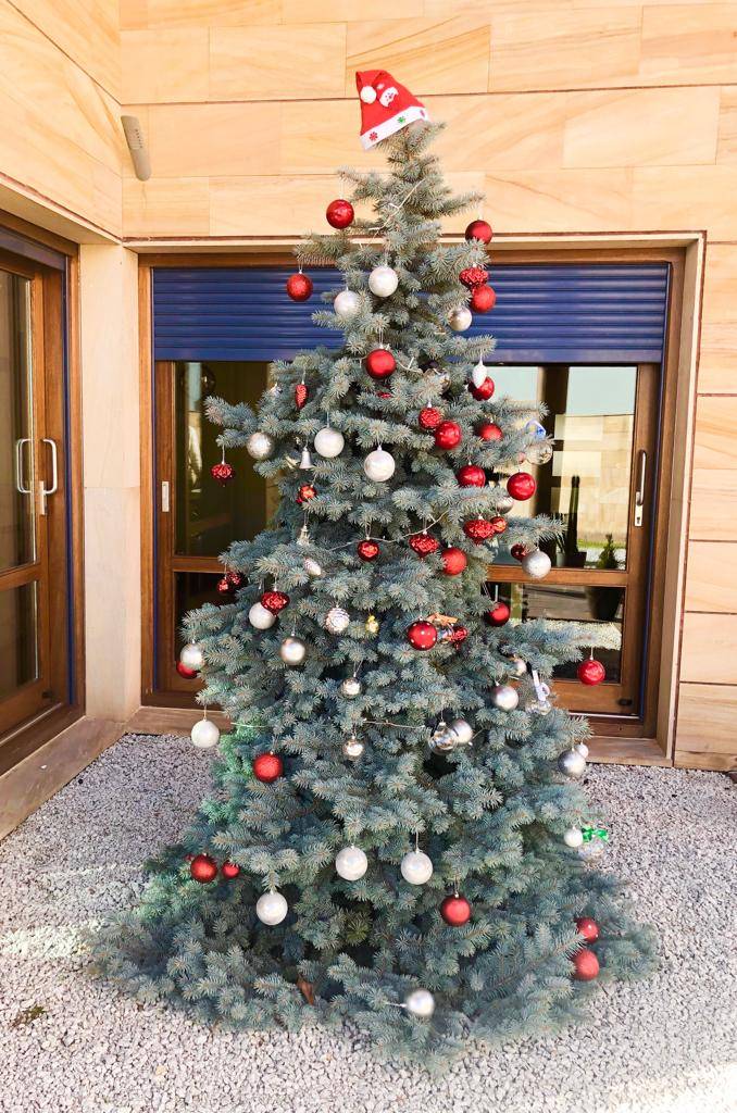 Aquí ya estamos preparados para disfrutar de una de nuestras épocas favoritas del año... ¡La navidad ha llegado a FDI! 🎄
#produccion #agenciafdi #factoriadeideas