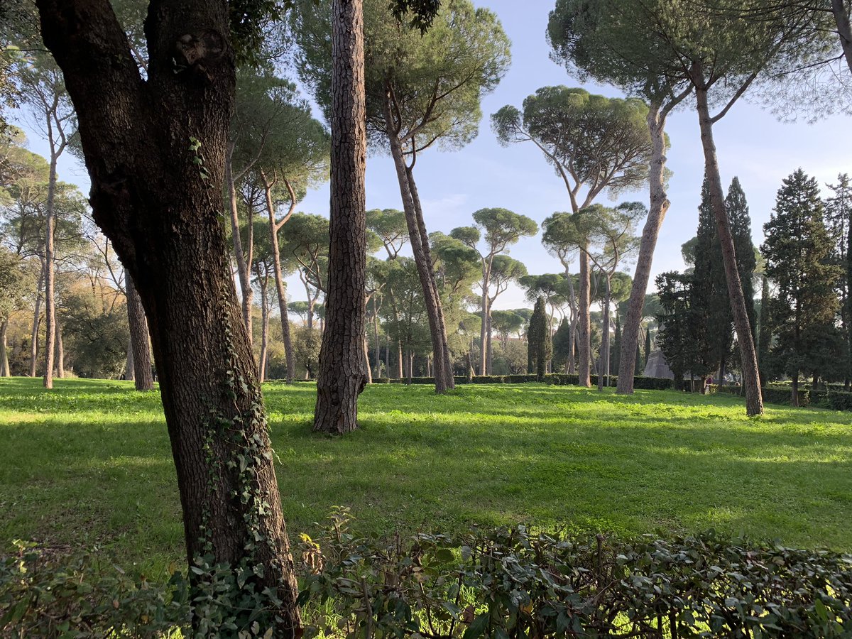 BillyZane's tweet photo. Rome-ing https://t.co/sMhwPtkCOB
