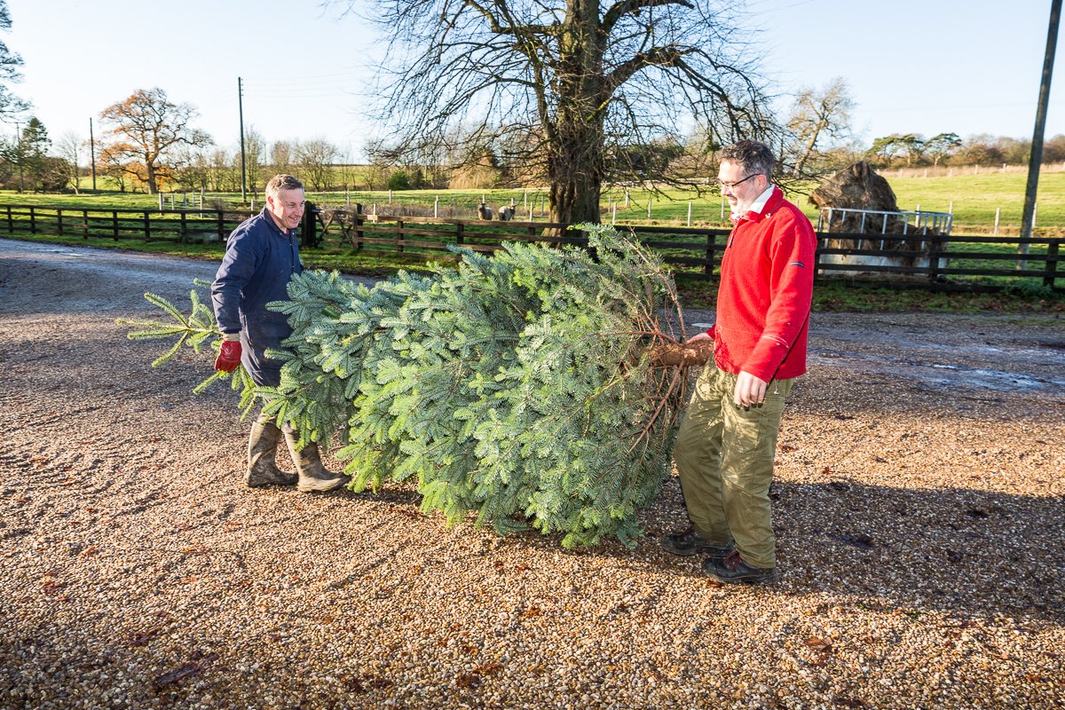 GrimblthorpHall's tweet photo. It's officially Christmas! which means Nick's delivering our #sustainable #ethicallygrown #XmasTree from a sustainable &amp; local forest. Now to get the decorations out!
#MerryChristmas https://t.co/Rvb8JwuaK0