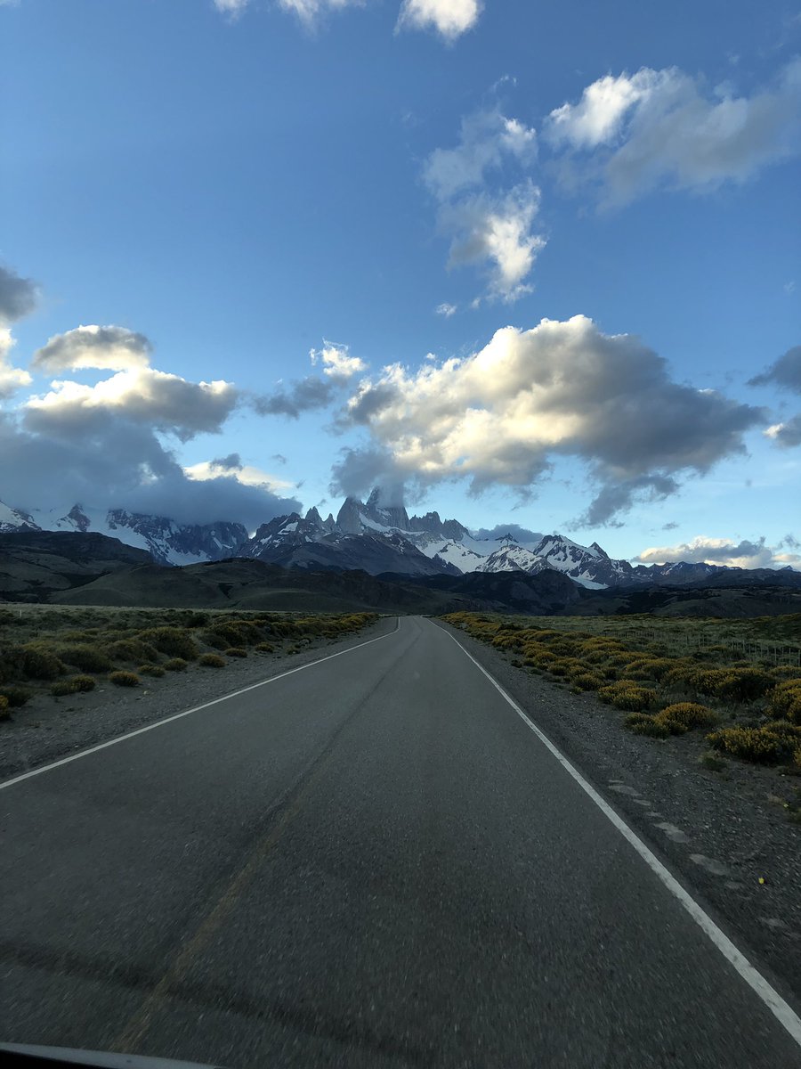 Paseo de los leones tweet media