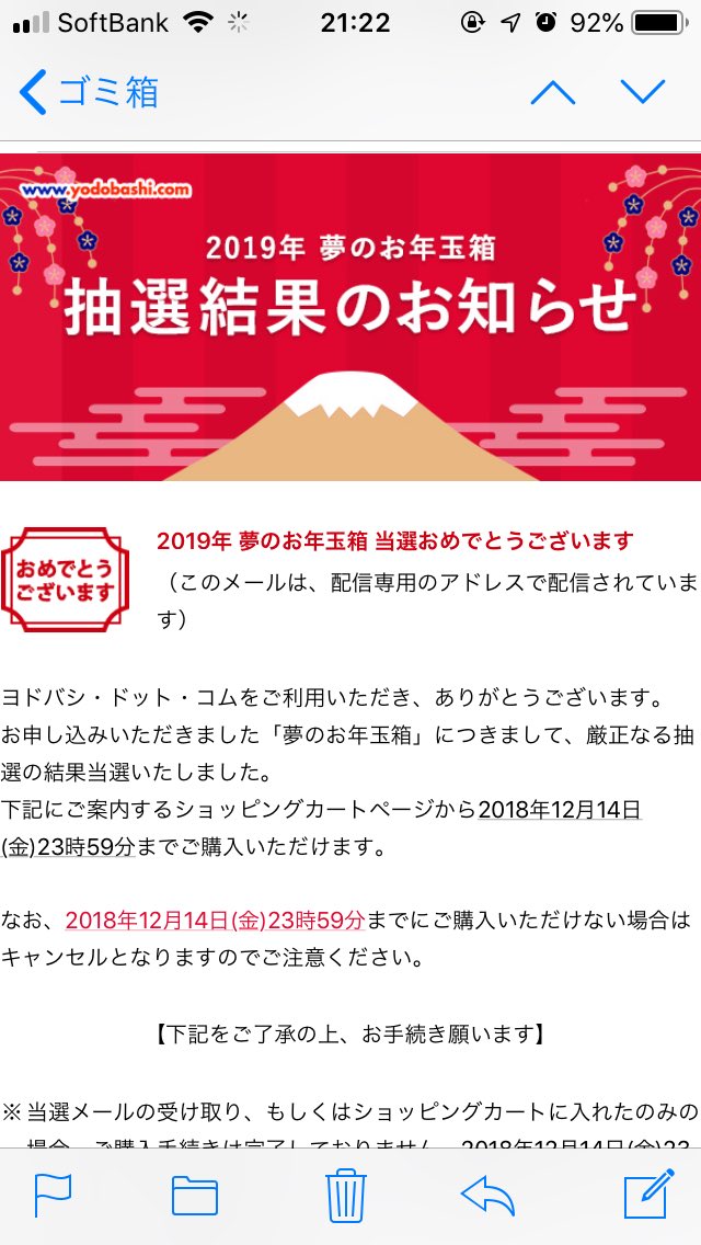 謹賀新年 19年ヨドバシ福袋の傾向と対策 クレカ会員は当選確率で優遇されるぞ 12月10日更新 高倍率当選者から歓喜の声 ねかつちう