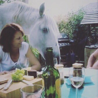 Gary_Witheford_'s tweet photo. #TeamWithefordAdventCalendar Day 10
Remembering summer and sunshine! #Brujo at a summer barbecue back in August 2006! #ChillingOut #TakeItEasy #Barbecue #Summer #TeamWitheford #AdventCalendar https://t.co/HjN4iRjERd