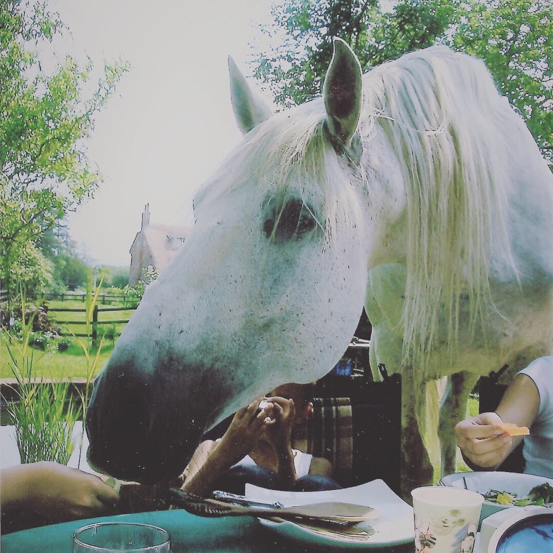 Gary_Witheford_'s tweet photo. #TeamWithefordAdventCalendar Day 10
Remembering summer and sunshine! #Brujo at a summer barbecue back in August 2006! #ChillingOut #TakeItEasy #Barbecue #Summer #TeamWitheford #AdventCalendar https://t.co/HjN4iRjERd