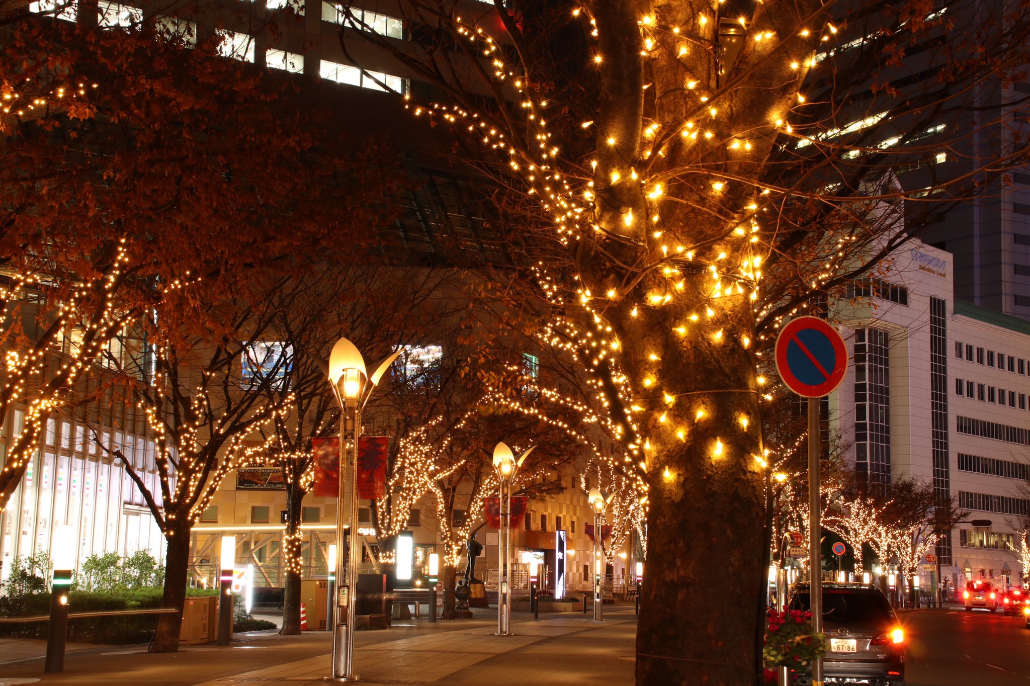 いそ華 神戸ハーバーランドガス燈通り ガス燈通りのケヤキ並木約１１０本をｌｅｄ昼白色電球でライトアップ ガス燈の柔らかな明かりとのハーモニーがとても美しいです T Co 6suwdvblbu Twitter