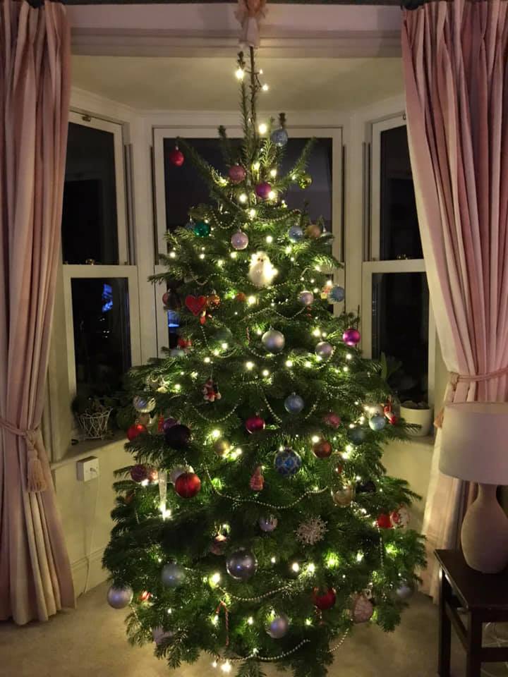 🎁 Final competition before Christmas! 🎁 We're giving you the chance to win a 5-6ft Norway Spruce. Head over to our Facebook page to enter. T&amp;Cs apply. #competition #devon