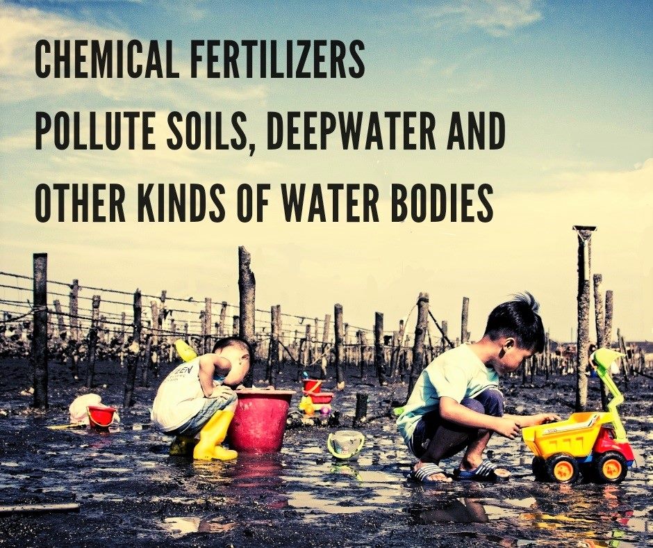 GREENWILLorg's tweet photo. Most people use chemical fertilizers, arguing they grow crops fast and big and are easy to transport. 
In reality, plants do not need all those chemicals to grow. Conversely, chemicals fertilizers are very likely to damage nature by polluting soils and water bodies - deepwater. https://t.co/7erhkgehAM