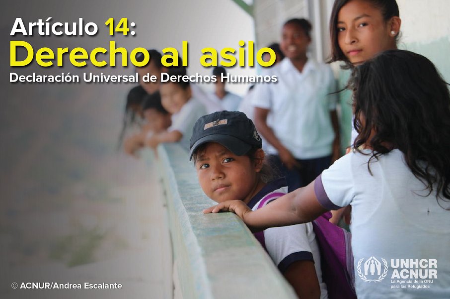 ACNURConoSur's tweet photo. En el #DiaDeLosDerechosHumanos recordamos que todas las personas tienen derecho a buscar asilo para huir de la persecución y solicitar la condición de refugiado.

Hoy más que nunca, mostrá que estás #ConLosRefugiados con un RT 🙋🏽‍♂️🙋🏼‍♀️

#70DUDH #StandUp4HumanRights #DefiendeLosDDHH https://t.co/v64u1k1NCU