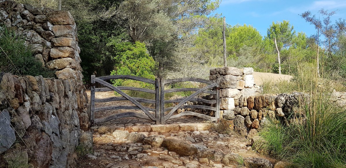antoninegre's tweet photo. "Las puertas cerradas impiden el gozo. 
Aunque no el deseo".
#Melibea https://t.co/MNckxneoFB
