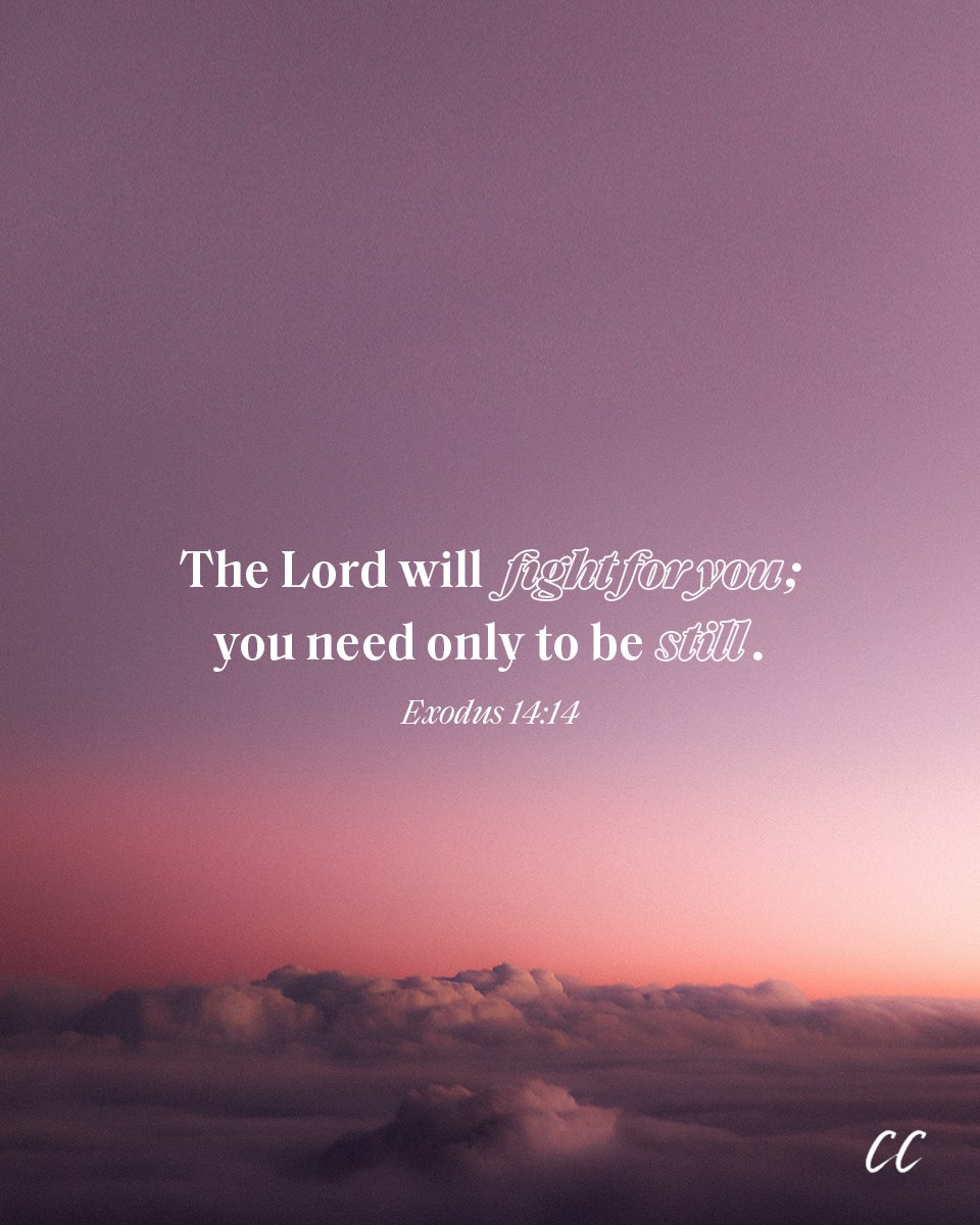 ChristineCaine's tweet photo. The Lord is fighting for you — today and every day. You do not have to be afraid or worried when you are in His hands; you need only to be still. He is with you! https://t.co/O7rNR6Dt10