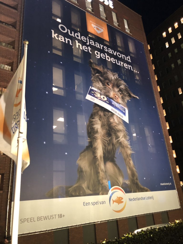Arnode_jong's tweet photo. Vanavond zijn we van start gegaan met onze oudejaarscampagne voor Staatsloterij. Met 30 miljoen, 250 mini’s en een klein hondje genaamd Frekkel #frekkel #staatsloterij @NLLoterij https://t.co/5ef9Kdqvrf