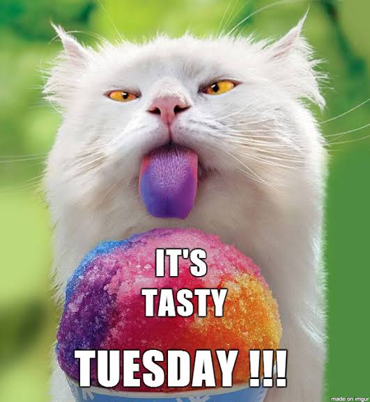 mactak95's tweet image. #TueadayThoughts