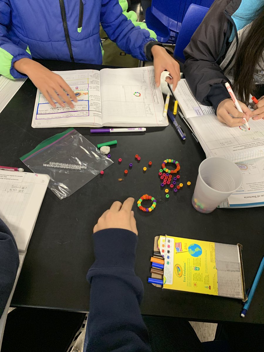 Vanessa Perry On Twitter How Do You Model Recombinant Dna With Beads And Pipe Cleaners 8thgrade Is Working On Geneticengineering By Making Models Of Modified Bacteria Dna Ngss Https T Co Hztcchketl