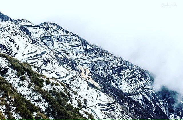sikkimdiaries's tweet photo. Zuluk during Winter.
Photo Courtesy: @when_i_met_myself .
Use #mysikkim to get your photo featured in our gallery.
#sikkim #mynortheast #maharashtra_ig #camindicator #igers #i_dslrshoot #pune_ig #_hpics #streetsofindia #official_photography_hub #photographersofindia https://t.co/143PgPUUOO