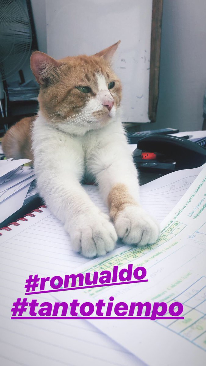 Carol23ro's tweet image. Lo bueno de ser estudiante de veterinaria es que estudiemos la materia que estudiemos siempre estamos acompañados de animales ! 
#romualdo