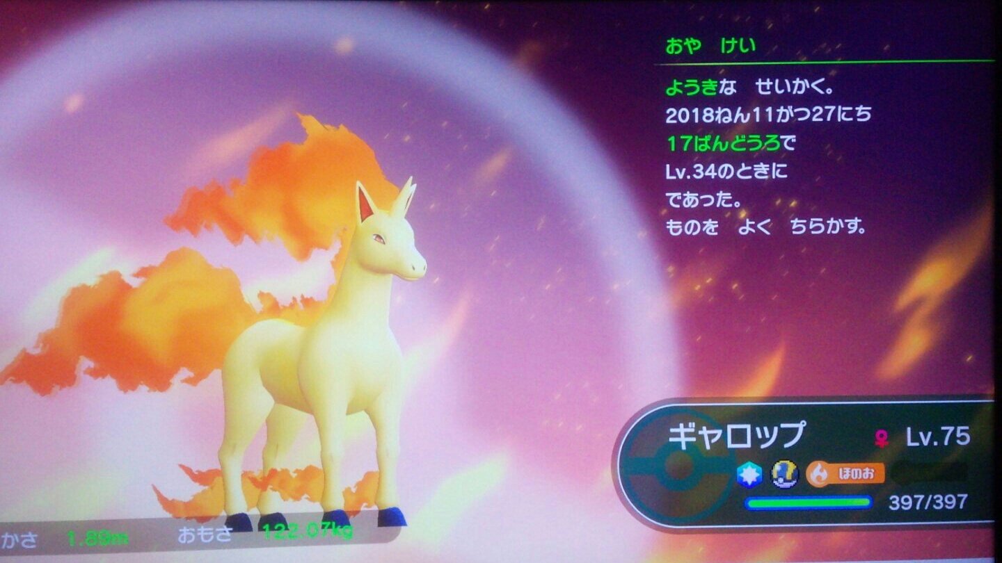 ポケモンアイロンビーズ けい ギャロップマスターになりました V ギャロップ ピカブイ ポケモン T Co Gtsyol6yp8 Twitter ポケモンアイロンビーズ けい ギャロップマスターになりました V ギャロップ ピカブイ ポケモン T Co Gtsyol6yp8 Twitter