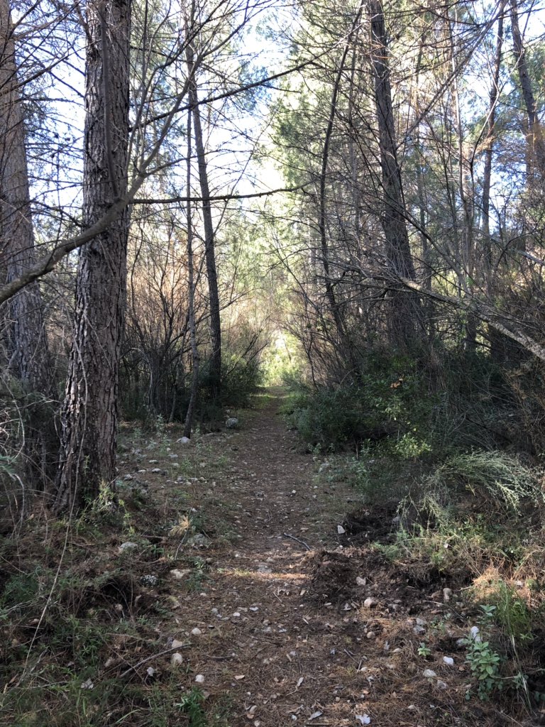 Pequeña ruta familiar a orillas del #RíoSegura <a href="/chsriosegura/">Confederación Hidrográfica del Segura</a> #Yeste <a href="/TurismoYeste/">Turismo Yeste</a> <a href="/PN_MundoySima/">P.N. DE LOS CALARES</a> <a href="/MeteoHellin/">Meteo⚡Hellín</a> #CasasRurales #RutasParaElFinde