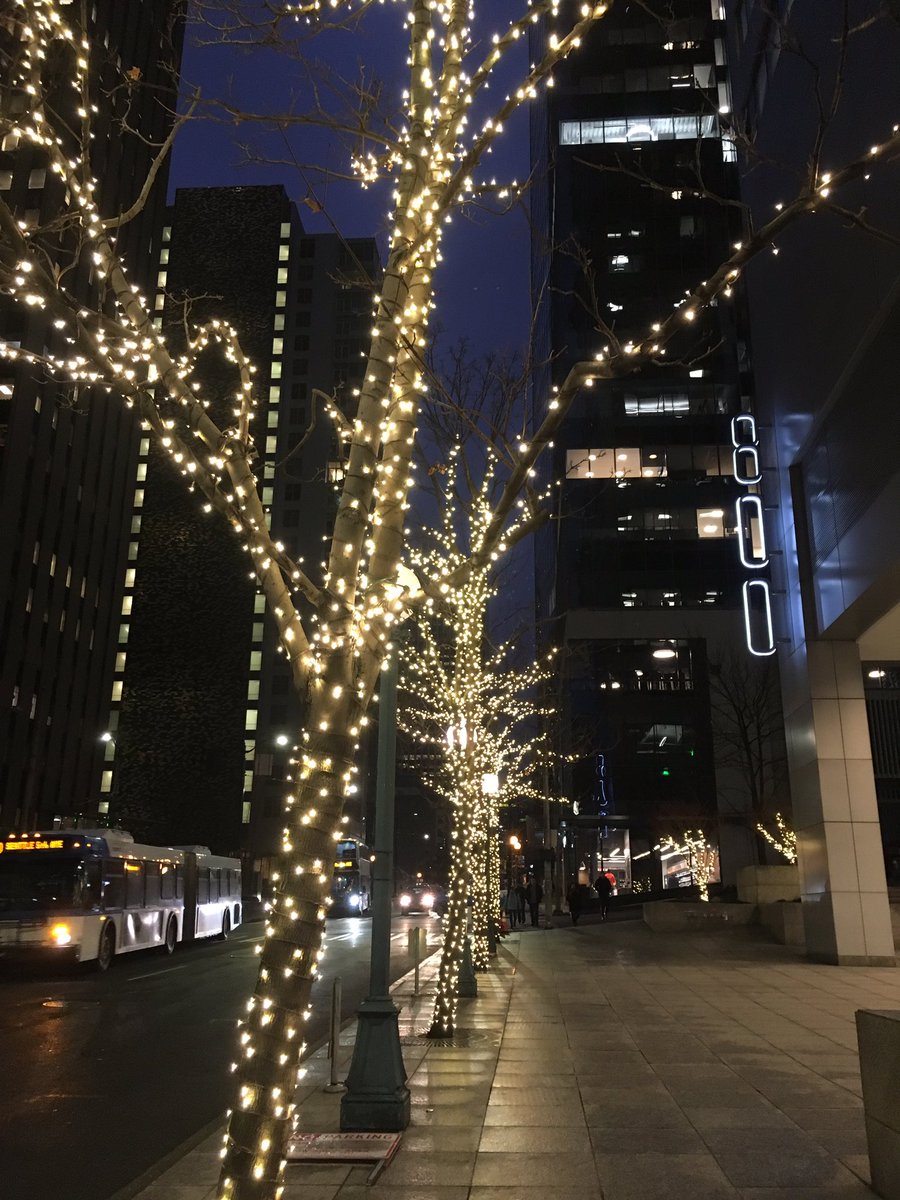 patrecycles's tweet image. #RecycleLab : Holiday lights recycling. I saw this collection bin at Lowe’s on Aurora. See where else you can drop off - atyourservice.seattle.gov/2015/12/22/rec… They do not go in your Recycle cart. Thanks for recycling! @SeattleSPU @EnviroStars @Lowes