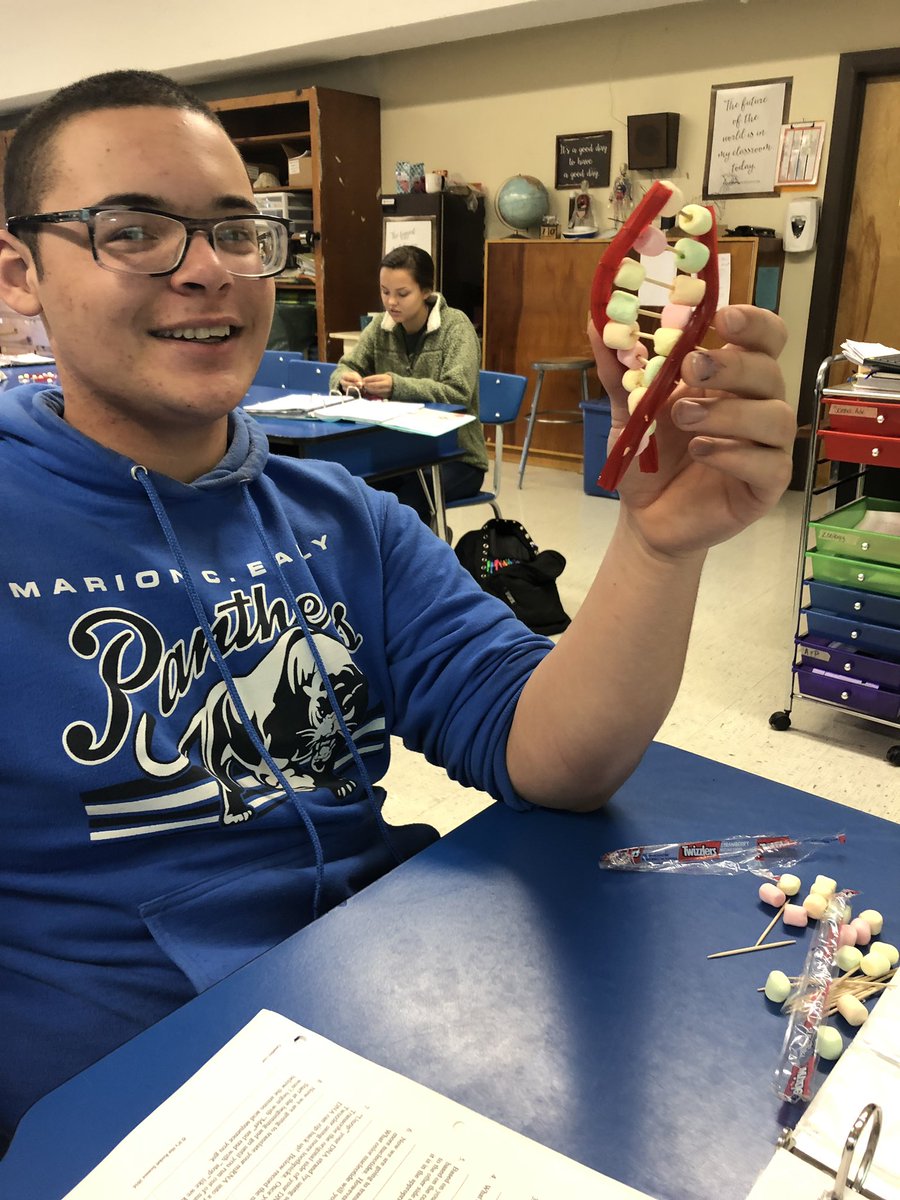 MceScience's tweet photo. BIO 1: DNA Models #PantherNation https://t.co/EwZwQTEwY9