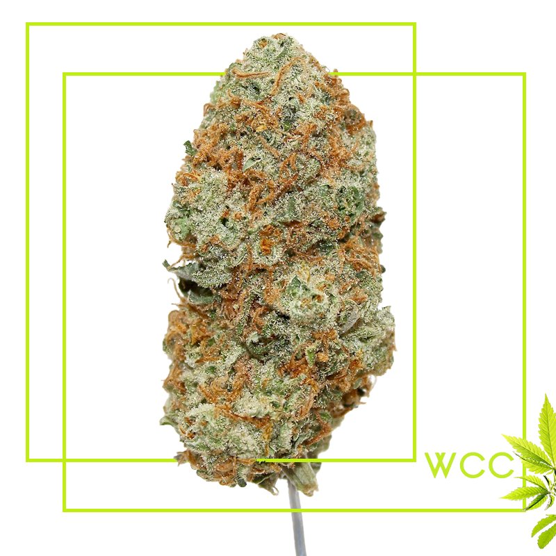 WCC25Cap's tweet photo. You know you wanna smoke it! 😏
••••••••••••••••••••••
Follow Whitier Care Center for quality 📲
••••••••••••••••••••••
#WhittierCareCenter #Buds #Nugs https://t.co/lCH0Qhu4uw