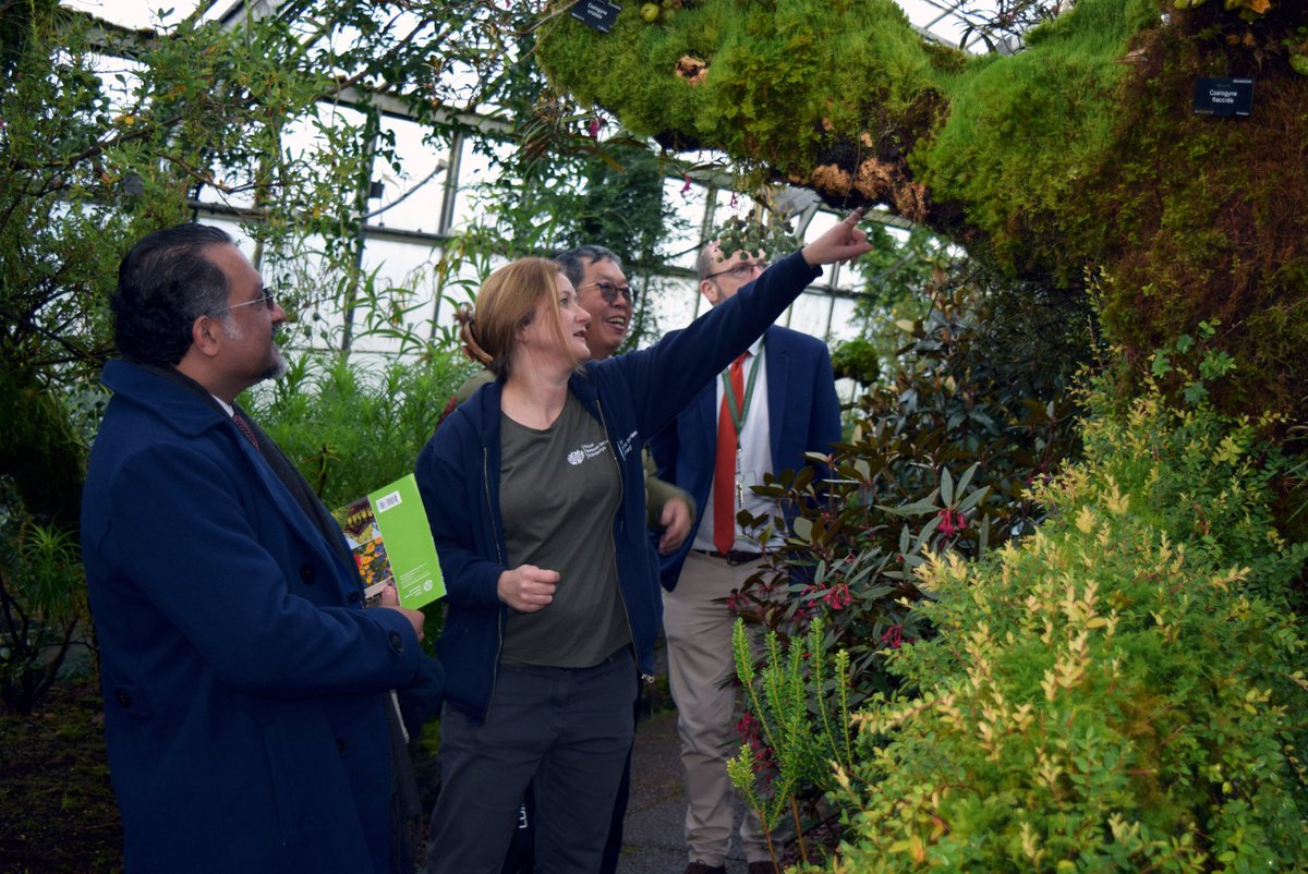 Royal Botanic Garden Edinburgh tweet media