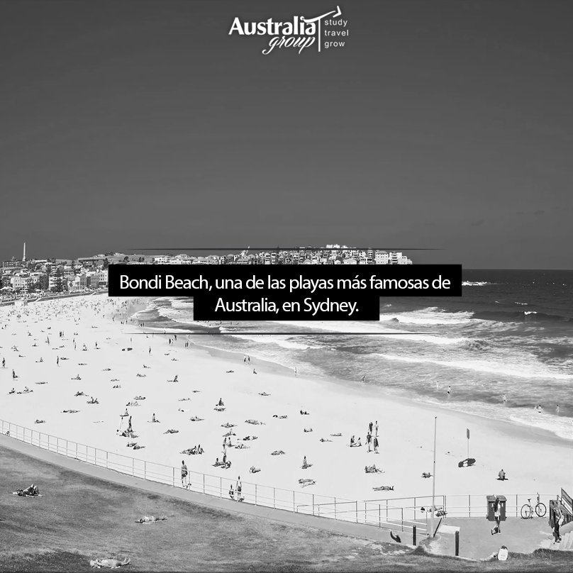 Australia Group tweet media