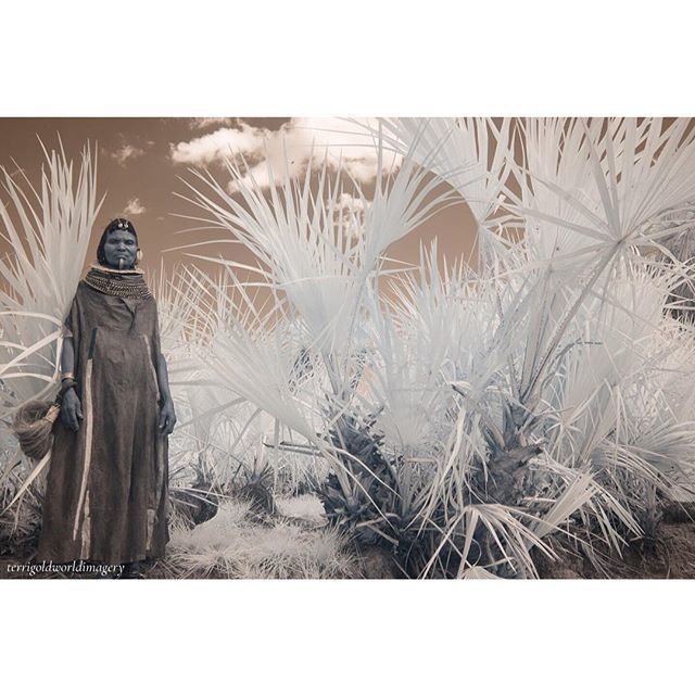 terrigold's tweet photo. Turkana Woman in Northern Kenya. #african_portraits #turkana #creativeinfrared_global #infrared_portraits #tribalculture #creativeinfrared_portraits #lensculture #african_ amazing #terrigoldworldimagery https://t.co/0Z4PkjnSZy https://t.co/hG2UEd4kqL
