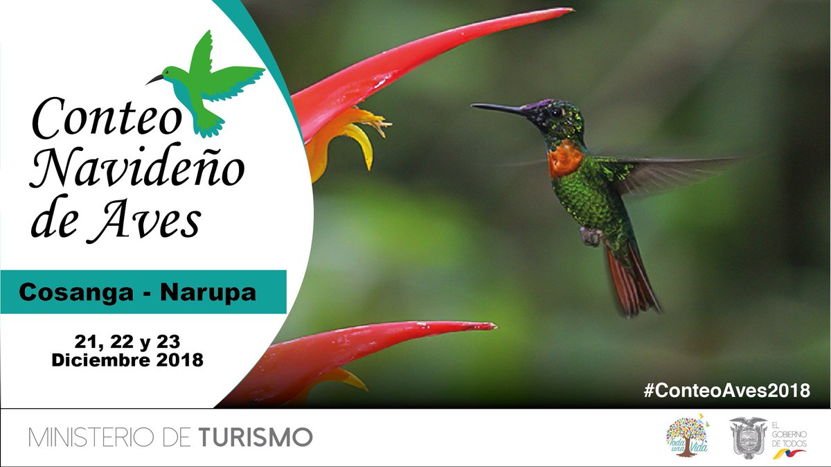 Forma parte de la conservación participa del #ConteoAves2018, del 21 al 23 de diciembre, en el circuito #CosangaNarupa. Detalles e inscripciones  aquí: goo.gl/reNuHs